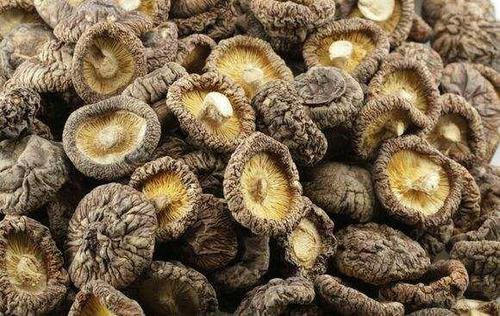 干香菇